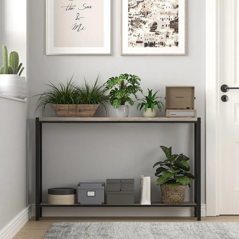 Gray 2-Tier Narrow Console Table with Storage